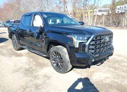 2023 Toyota Tundra Platinum