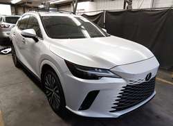 2025 Lexus RX 350H Premium Plus