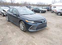 2021 Toyota Camry LE Hybrid