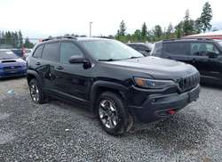2019 Jeep Cherokee Trailhawk 4X4