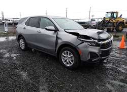 2024 Chevrolet Equinox AWD LT