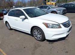 2011 Honda Accord 2.4 EX-L