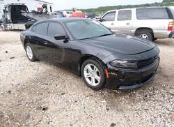 2019 Dodge Charger SXT RWD