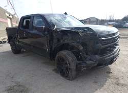 2024 Chevrolet Silverado 1500 4WD Short BED Custom