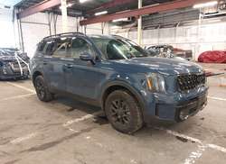 2025 KIA Telluride SX/SX X-Line/SX Prestige/SX Prestige X-Line/SX Prestige X-PRO