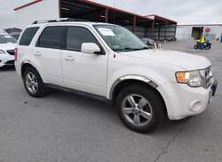 2010 Ford Escape Limited