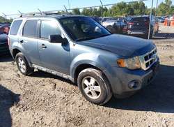 2011 Ford Escape XLT Automatic