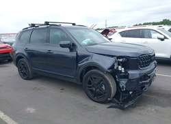 2025 KIA Telluride SX Prestige X-Line