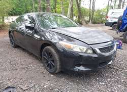 2010 Honda Accord 2.4 LX-S