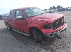 2010 Ford F-150 FX4/Harley-Davidson/King Ranch/Lariat/Platinum/XL/XLT