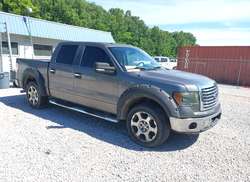 2010 Ford F-150 FX2 Sport/XL/XLT