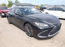 2024 Lexus ES 350  