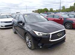 2019 Infiniti QX50 Essential/Luxe/Pure