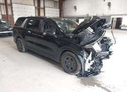 2026 KIA Carnival MPV LXS