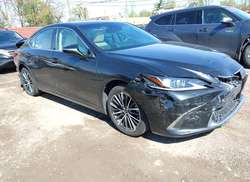 2022 Lexus ES 250  