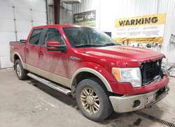 2010 Ford F-150 FX4/Harley-Davidson/King Ranch/Lariat/Platinum/XL/XLT