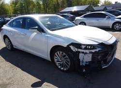 2020 Lexus ES 300H Luxury