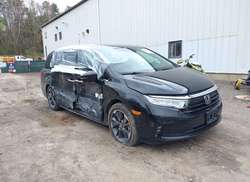 2021 Honda Odyssey Elite