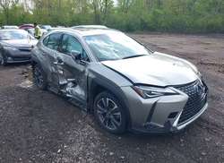 2021 Lexus UX 250H  