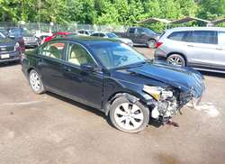 2010 Honda Accord 2.4 EX