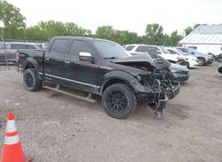 2013 Ford F-150 Platinum