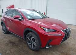 2021 Lexus NX 300H  