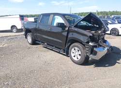 2019 Chevrolet Silverado 1500 Work Truck