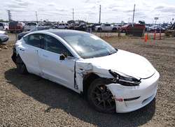 2019 Tesla Model 3 Long Range/Performance