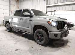 2021 Toyota Tundra TRD PRO