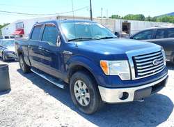 2010 Ford F-150 FX4/Harley-Davidson/King Ranch/Lariat/Platinum/XL/XLT