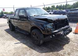 2013 Ford F-150 STX