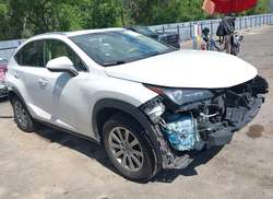 2019 Lexus NX 300H  