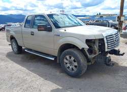 2010 Ford F-150 FX4/Lariat/XL/XLT