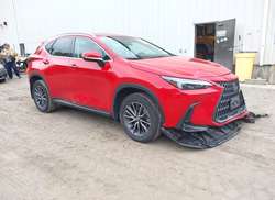 2022 Lexus NX 350 Premium