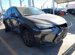 2025 Lexus NX 250  