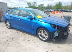 2019 Hyundai Sonata SEL