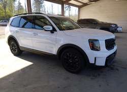 2024 KIA Telluride SX Prestige X-PRO