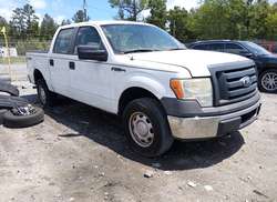 2010 Ford F-150 XL/XLT