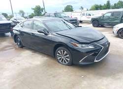2021 Lexus ES 350  