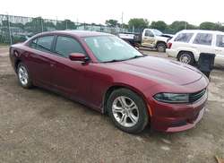 2020 Dodge Charger SXT RWD
