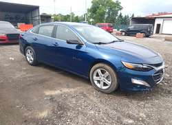 2019 Chevrolet Malibu 1LS