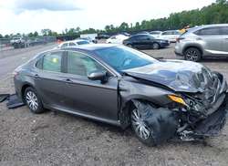 2019 Toyota Camry Hybrid LE