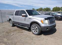 2010 Ford F-150 FX4/Harley-Davidson/King Ranch/Lariat/Platinum/XL/XLT