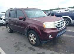 2011 Honda Pilot EX-L
