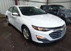 2023 Chevrolet Malibu FWD 1FL