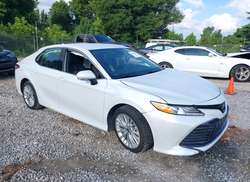 2020 Toyota Camry XLE