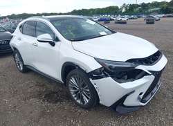 2022 Lexus NX 350 Luxury