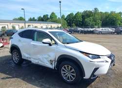 2018 Lexus NX 300H  