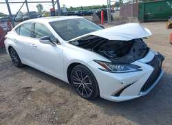 2024 Lexus ES 250  