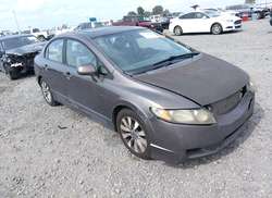 2010 Honda Civic EX